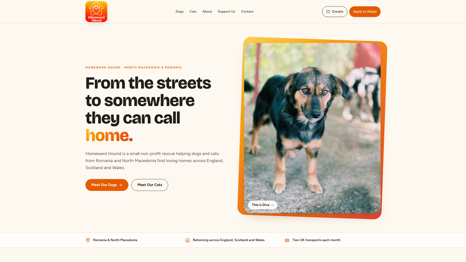 Homeward Hound homepage showing its real orange logo, adoption navigation and Diva beside the heading 'From the streets to somewhere they can call home'.